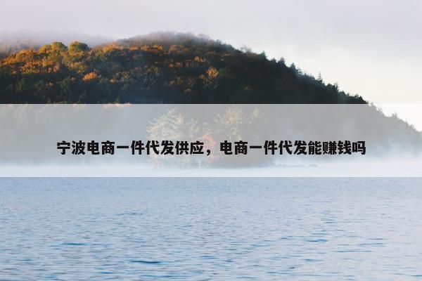 宁波电商一件代发供应，电商一件代发能赚钱吗