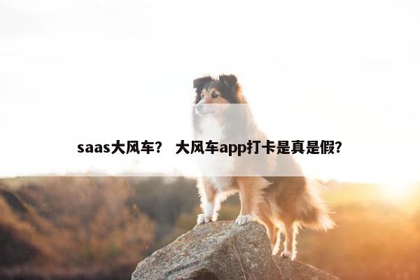 saas大风车？ 大风车app打卡是真是假？