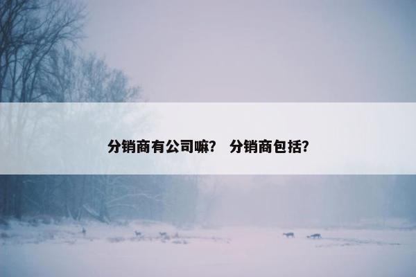 分销商有公司嘛？ 分销商包括？