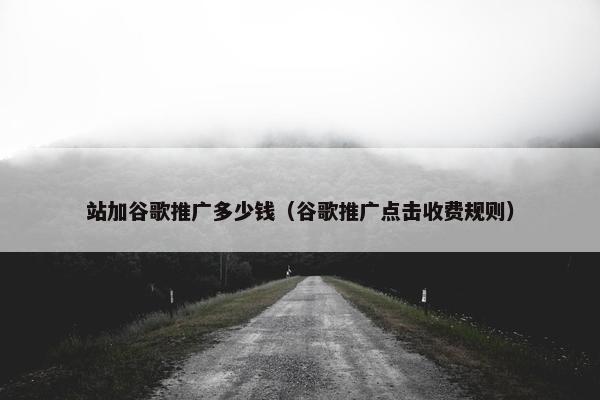 站加谷歌推广多少钱（谷歌推广点击收费规则）