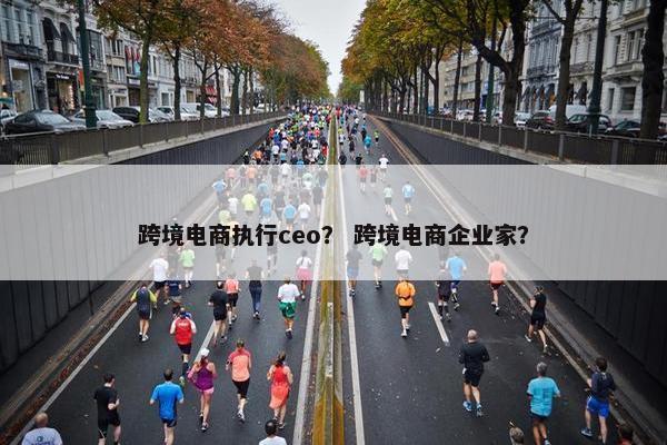 跨境电商执行ceo？ 跨境电商企业家？