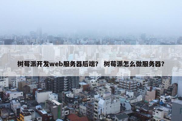 树莓派开发web服务器后端？ 树莓派怎么做服务器？