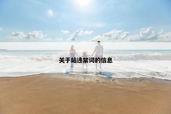 关于站违禁词的信息