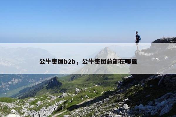 公牛集团b2b，公牛集团总部在哪里