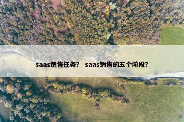 saas销售任务？ saas销售的五个阶段？