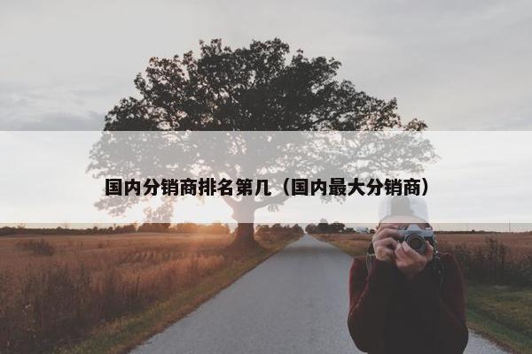 国内分销商排名第几（国内最大分销商）