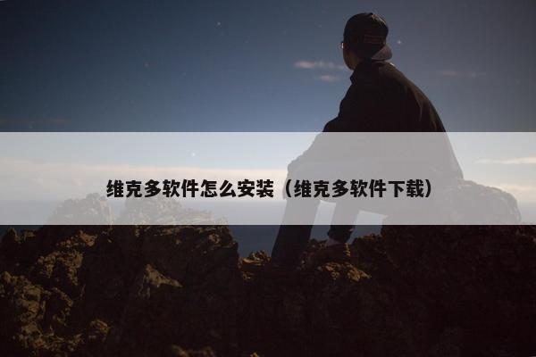 维克多软件怎么安装（维克多软件下载）