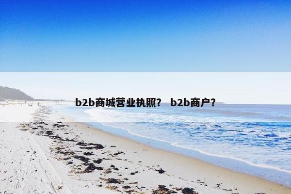 b2b商城营业执照？ b2b商户？