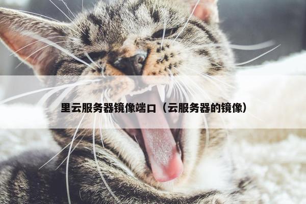 里云服务器镜像端口（云服务器的镜像）