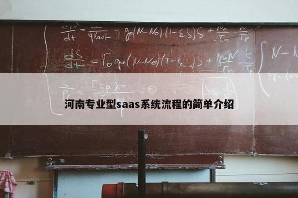 河南专业型saas系统流程的简单介绍