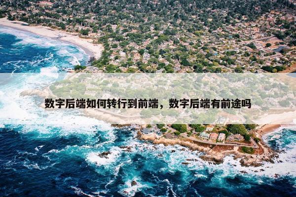 数字后端如何转行到前端，数字后端有前途吗