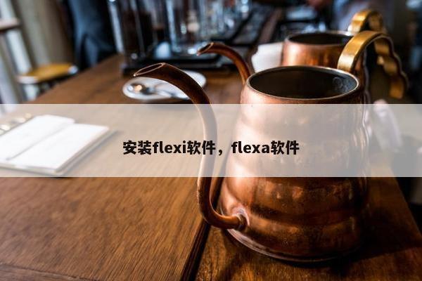 安装flexi软件，flexa软件