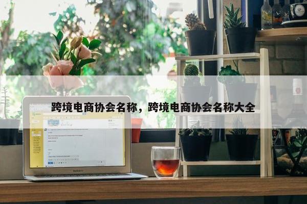 跨境电商协会名称，跨境电商协会名称大全