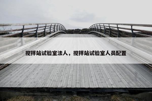 搅拌站试验室法人，搅拌站试验室人员配置