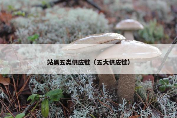 站黑五类供应链（五大供应链）