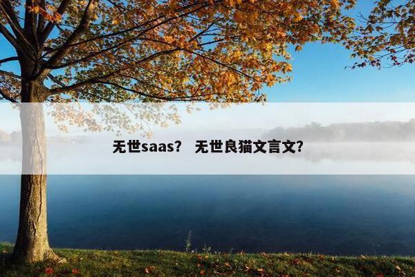 无世saas？ 无世良猫文言文？
