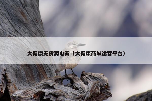 大健康无货源电商（大健康商城运营平台）