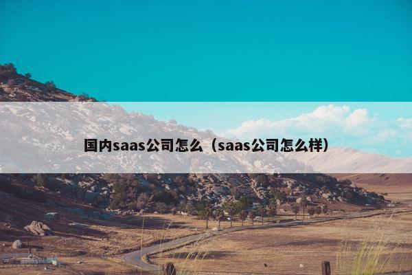 国内saas公司怎么（saas公司怎么样）
