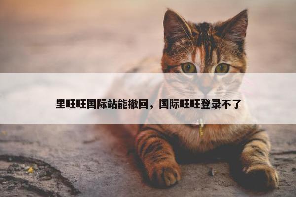 里旺旺国际站能撤回，国际旺旺登录不了