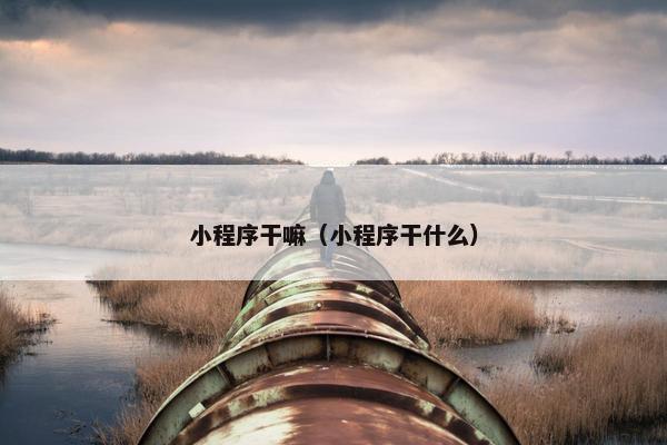 小程序干嘛（小程序干什么）