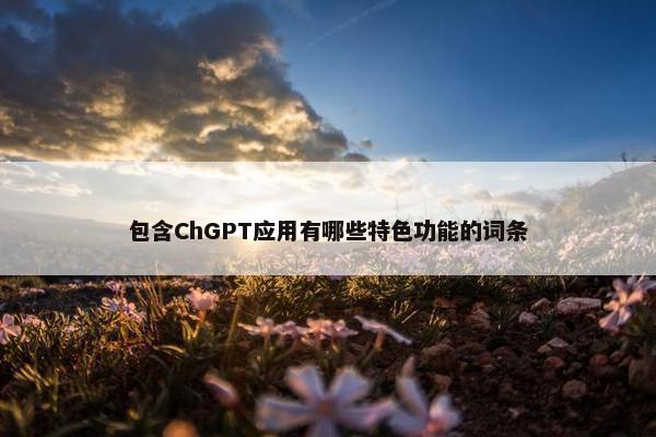 包含ChGPT应用有哪些特色功能的词条