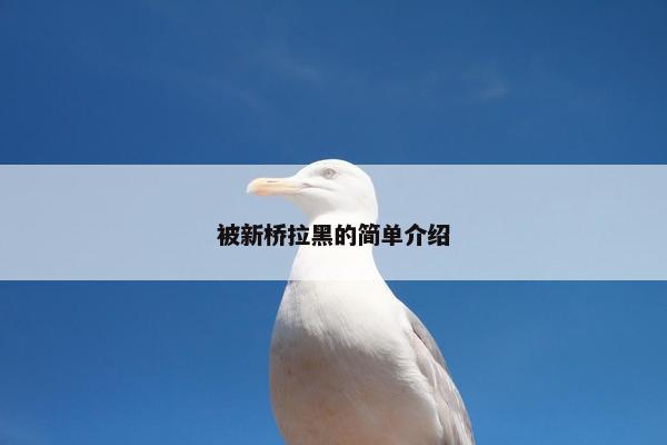 被新桥拉黑的简单介绍