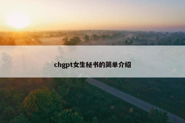 chgpt女生秘书的简单介绍