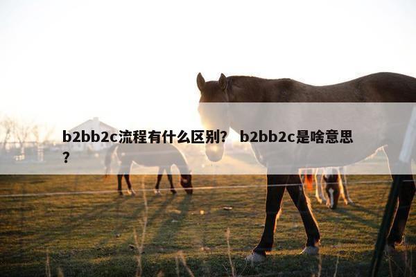 b2bb2c流程有什么区别？ b2bb2c是啥意思？