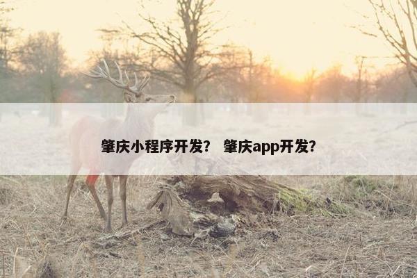 肇庆小程序开发？ 肇庆app开发？