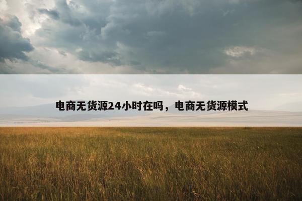 电商无货源24小时在吗，电商无货源模式