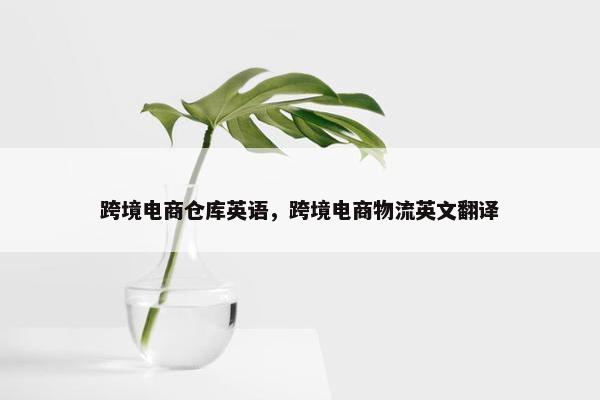 跨境电商仓库英语，跨境电商物流英文翻译