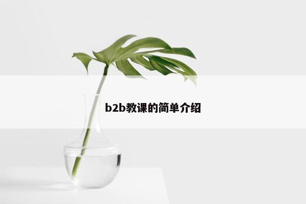 b2b教课的简单介绍