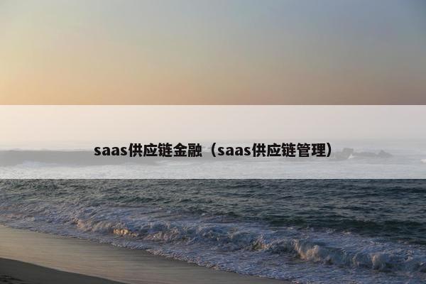 saas供应链金融（saas供应链管理）