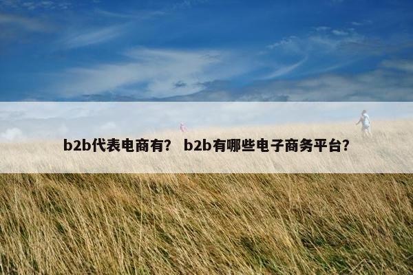 b2b代表电商有？ b2b有哪些电子商务平台？