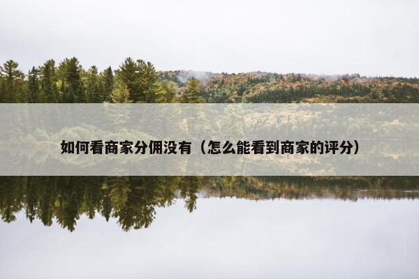 如何看商家分佣没有（怎么能看到商家的评分）