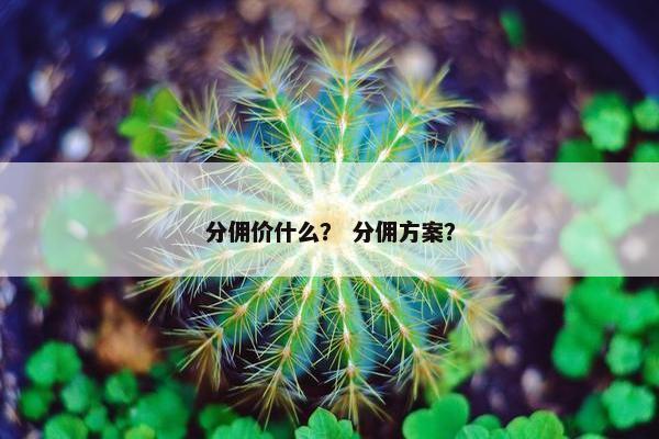 分佣价什么？ 分佣方案？