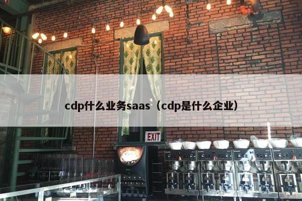 cdp什么业务saas（cdp是什么企业）