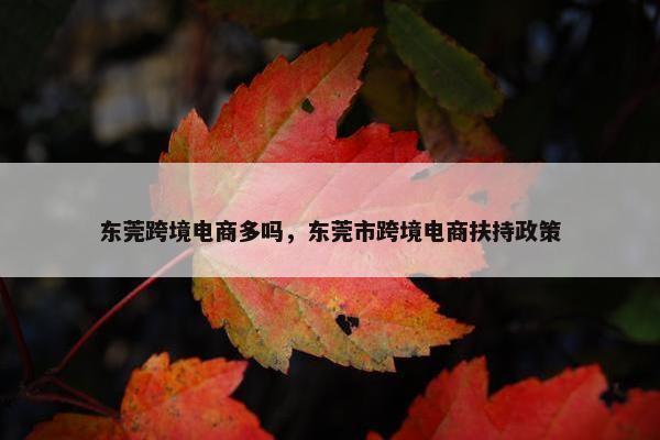 东莞跨境电商多吗，东莞市跨境电商扶持政策