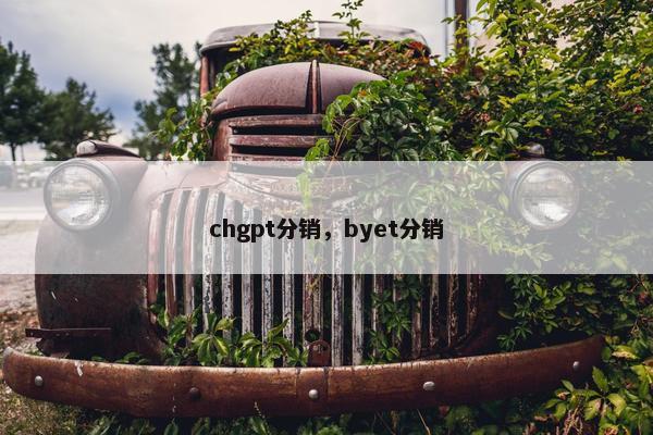 chgpt分销，byet分销