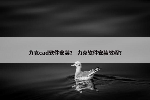 力克cad软件安装？ 力克软件安装教程？