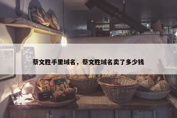 蔡文胜手里域名，蔡文胜域名卖了多少钱
