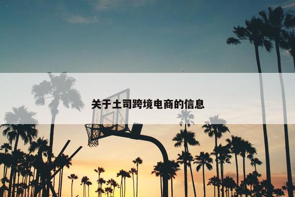 关于土司跨境电商的信息