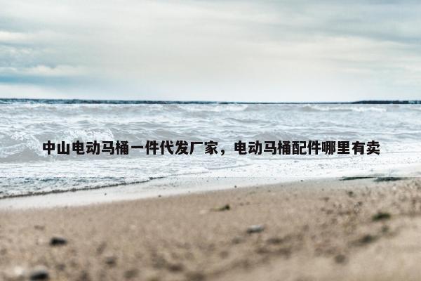 中山电动马桶一件代发厂家，电动马桶配件哪里有卖