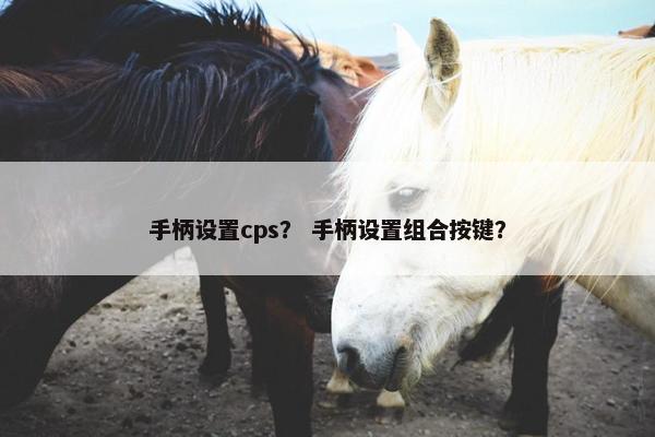 手柄设置cps？ 手柄设置组合按键？