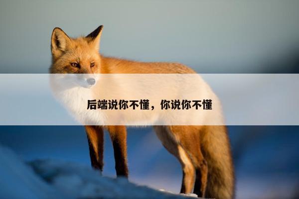后端说你不懂，你说你不懂