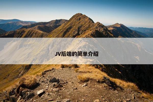 JV后端的简单介绍