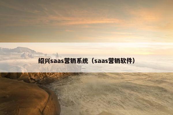 绍兴saas营销系统（saas营销软件）