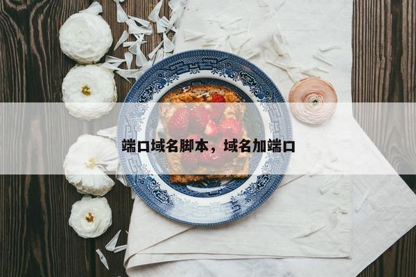 端口域名脚本，域名加端口