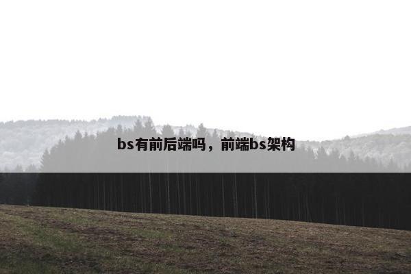 bs有前后端吗，前端bs架构