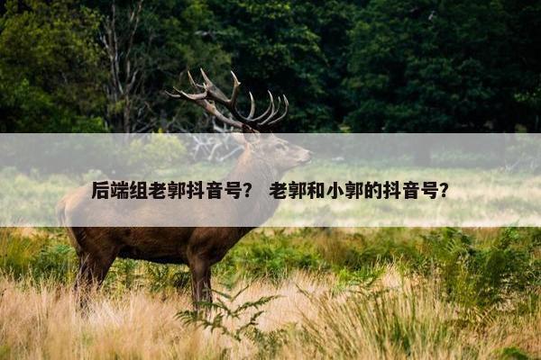 后端组老郭抖音号？ 老郭和小郭的抖音号？